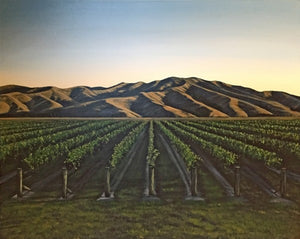 Katrina McGettigan Print -Wither Hills