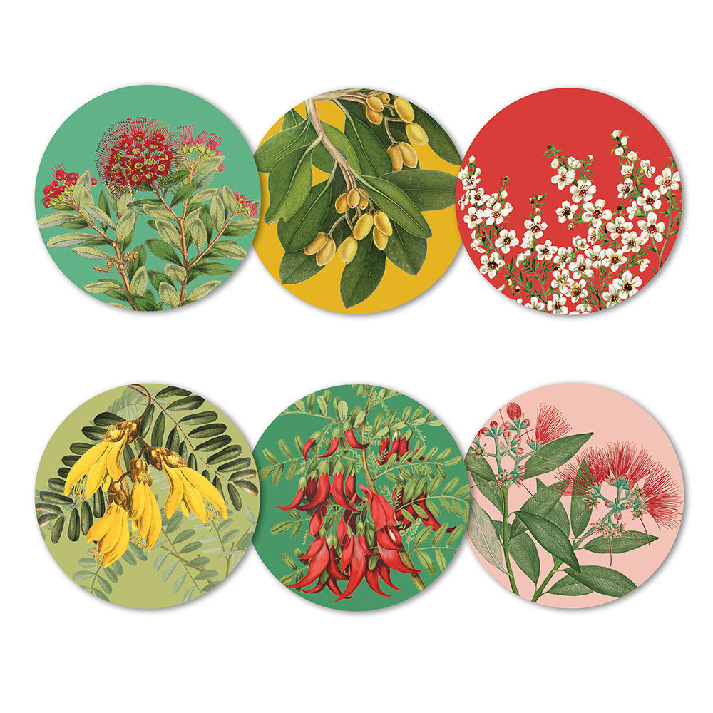 Native Botanicals of NZ Coasters (Set of 6)