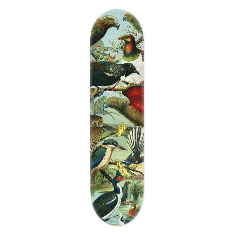 Skateboard Deck Art - Native Birds of New Zealand