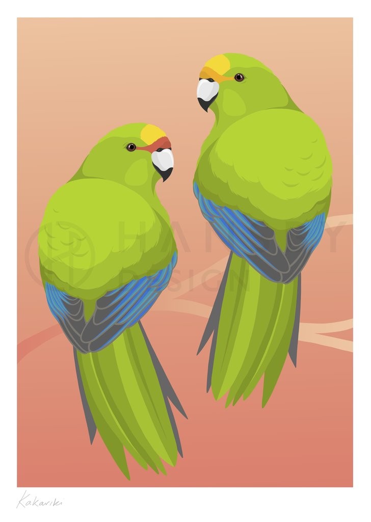 Cathy Hansby Print - Kakariki