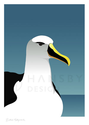 Cathy Hansby Print - Mollymawk