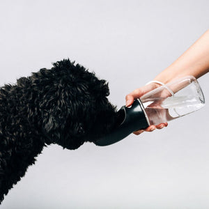 Thirsty Dog Drink Bottle