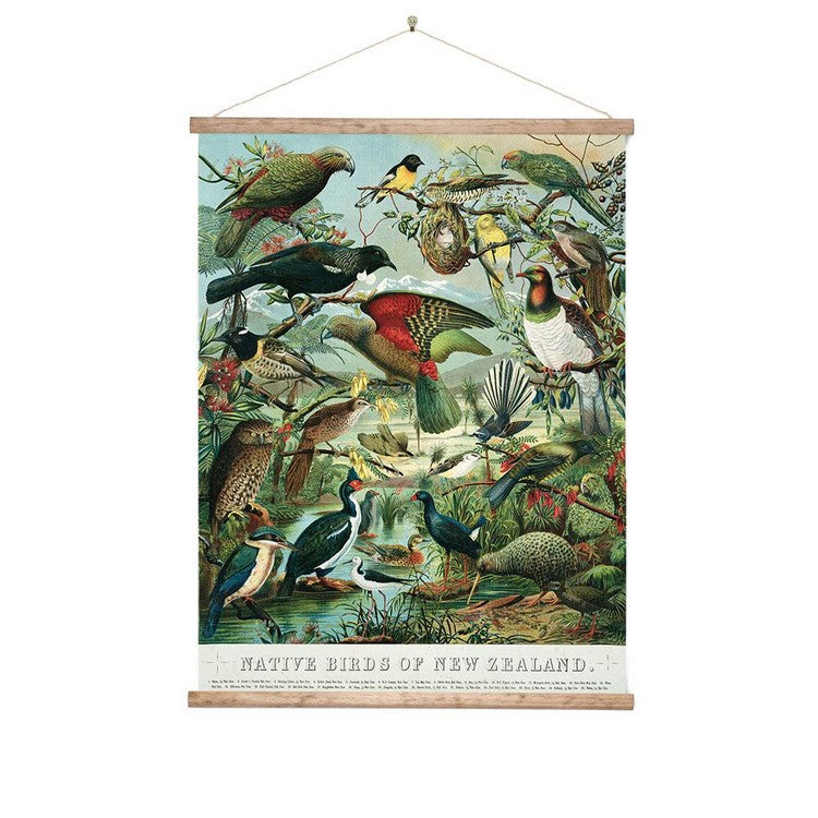 Wall Chart - Native Birds of NZ