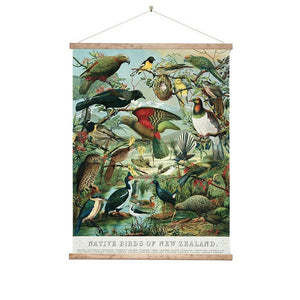 Wall Chart - Native Birds of NZ