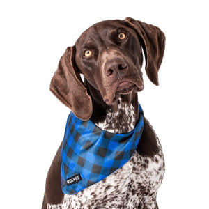 Wolves Dog Bandana