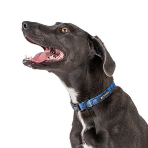 Wolves Dog Collar
