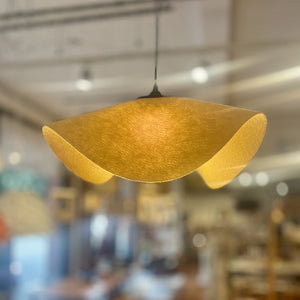 Chrysalis Pendant Light