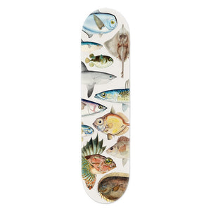 Skateboard Deck Art - Fishes of New Zealand