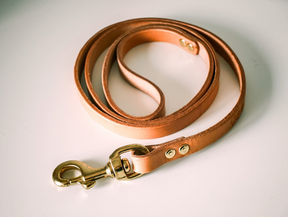 St Bathans Leather Co. Dog Lead