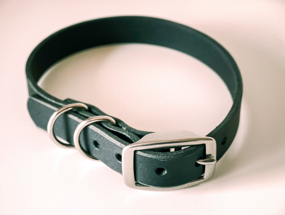 St Bathans Leather Co. Dog Collar