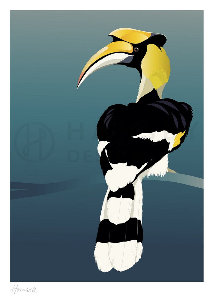 Cathy Hansby Print - Hornbill
