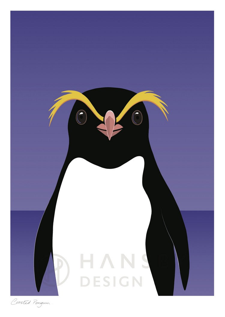 Cathy Hansby Print - Crested Penguin