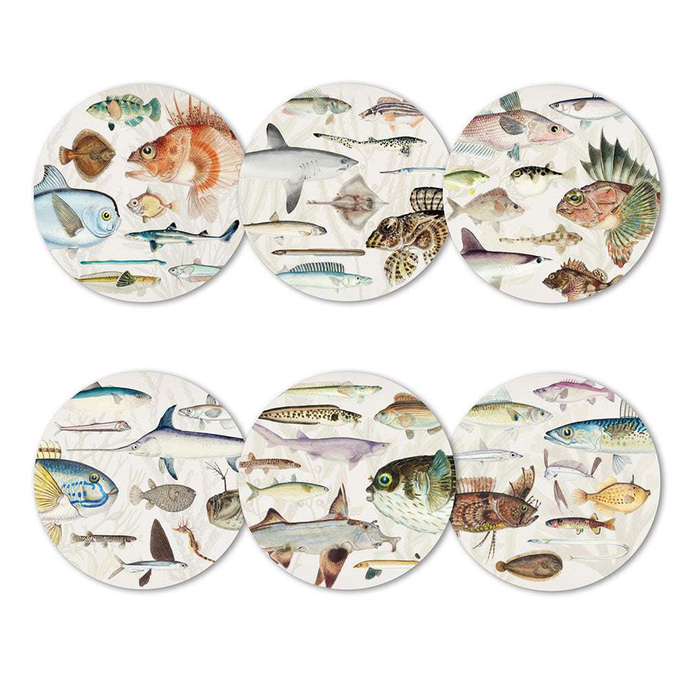 Fishes of New Zealand Coasters (set of six)