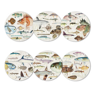 Fishes of New Zealand Placemats (set of six)
